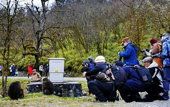 ʡӰЭῪչ֮ŰӰɷ